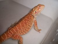 100_2578.jpg