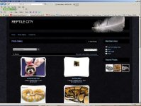 reptilecity.jpg