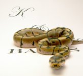 FIRST LIGHTBOX 011.jpg