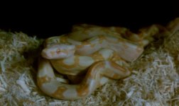 HTC 09-07-2011 1038.jpg