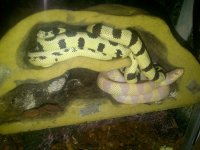 IMG-20111126-00076.jpg