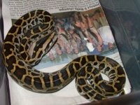 Image00006.jpg