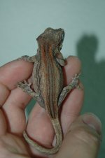DSC_5479.jpg
