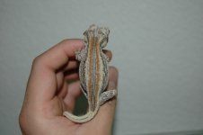 DSC_5444.jpg