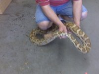 IMG00157.jpg