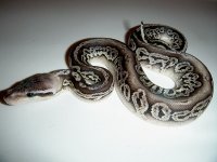 DSCN5194.JPG