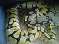 IMG00777-20111108-1341.jpg