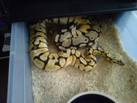 IMG00779-20111108-1342.jpg