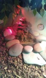 IMAG0499.jpg