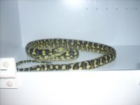 DSCN0091.jpg
