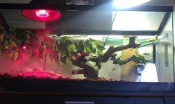 IMAG0508.jpg