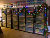 Christmas Racks.jpg