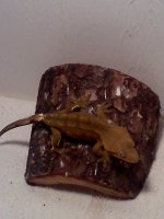 20110417194909.jpg 20110417194909.jpg