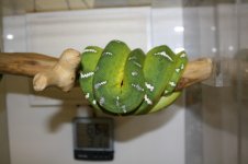 IMG_5284.jpg