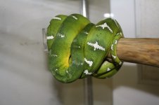 IMG_5285.jpg