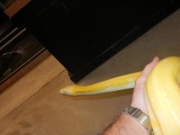 DSCN1432.jpg