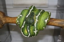 IMG_5286.jpg