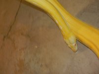 DSCN1433.jpg