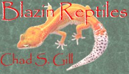 Blazin Reptiles business card.jpg
