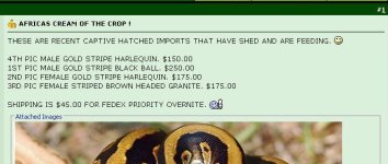 ededitproof001.JPG