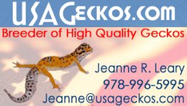 USA Geckos business card 2.jpg