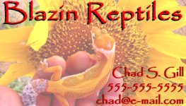 Blazin Reptiles business card 2.jpg