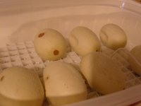 SNC10720.jpg