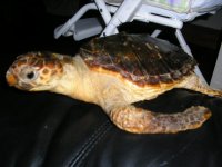 Picture 213.jpg