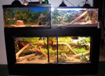 ! 1-01 tanks, stolen pics..jpg