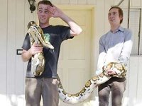 Python-2.jpg