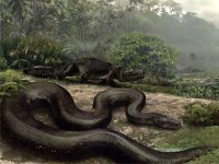 giant_snake.jpg