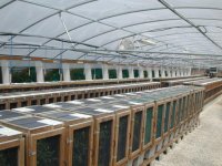 Greenhouse 2-18-05.JPG
