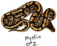 2011Mystic MALE.jpg