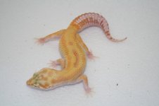 IMG_7632.jpg