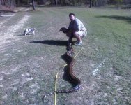 SNAKE 2.jpg