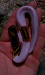HTC 09-07-2011 016.jpg