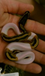 HTC 09-07-2011 027.jpg