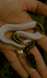 HTC 09-07-2011 031.jpg