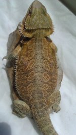 IMAG0358.jpg