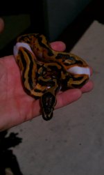 HTC 09-07-2011 024.jpg