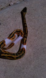 HTC 09-07-2011 021.jpg