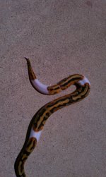 HTC 09-07-2011 022.jpg