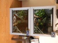 2011 095.jpg
