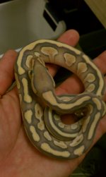 HTC 09-07-2011 033.jpg