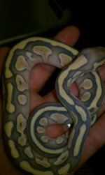 HTC 09-07-2011 035.jpg