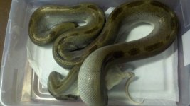 2011-08-21_11-18-43_472.jpg
