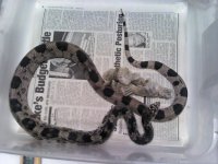 2011-07-21_22-24-39_373_KPT.jpg
