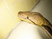 IMG_4308.jpg