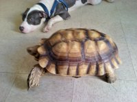 2011-07-30_15-51-45_311_KPT.jpg
