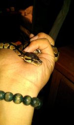 IMAG0207.jpg